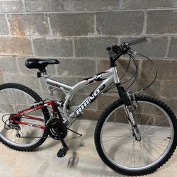 Adult Bike 