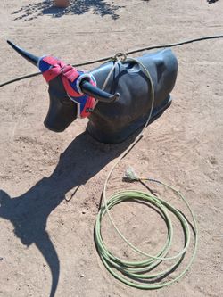 Practice Lasso Bull