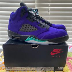 Jordan 5 Alternate Grape Size 10.5 BRAND NEW DS