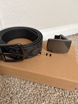 coach belt