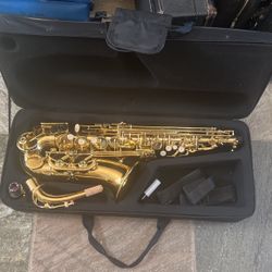 Alto Saxophone 🎷 