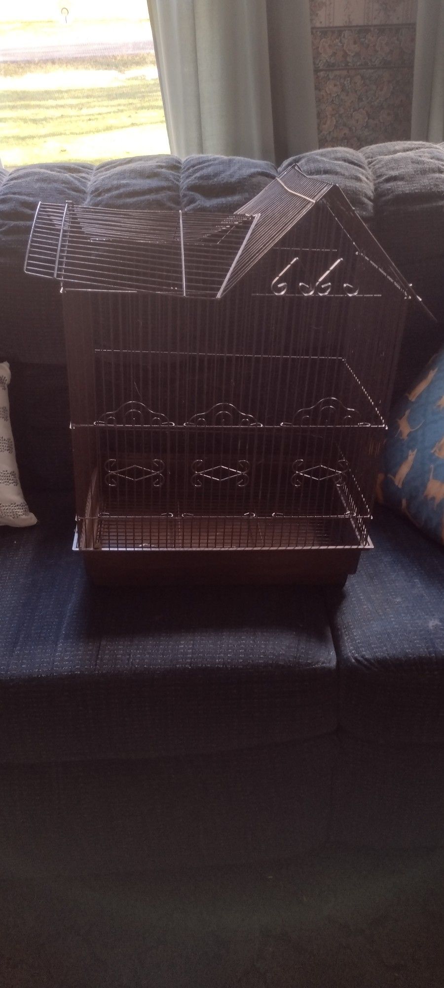 Bird Cage