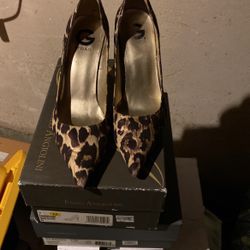 Ladies Shoes 