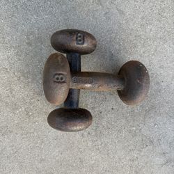 Weights 8 Pound Dumbbells