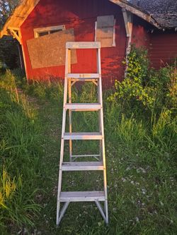 Louisville 6ft 250lb Stepladder
