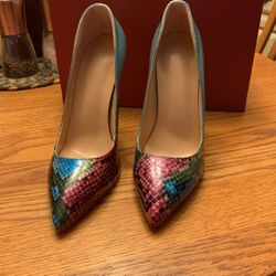 Women’s Dress Shoes Size 6.5  Never Worn