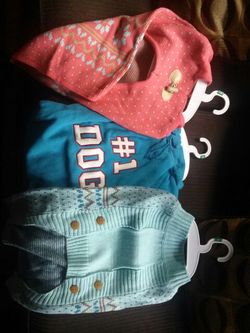 Keep your pets warm LG doggy coats Martha Stewart pets