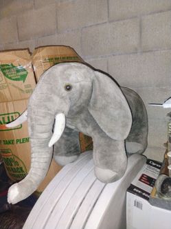 Elephant 🐘 for sale