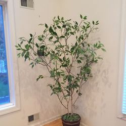 Silk decorative house tree 7ft. In decorative wood container