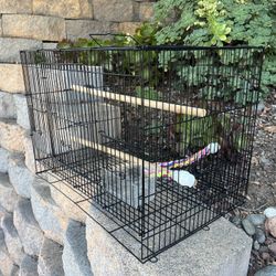 Bird Cage