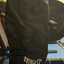 Everlast Punching Bag