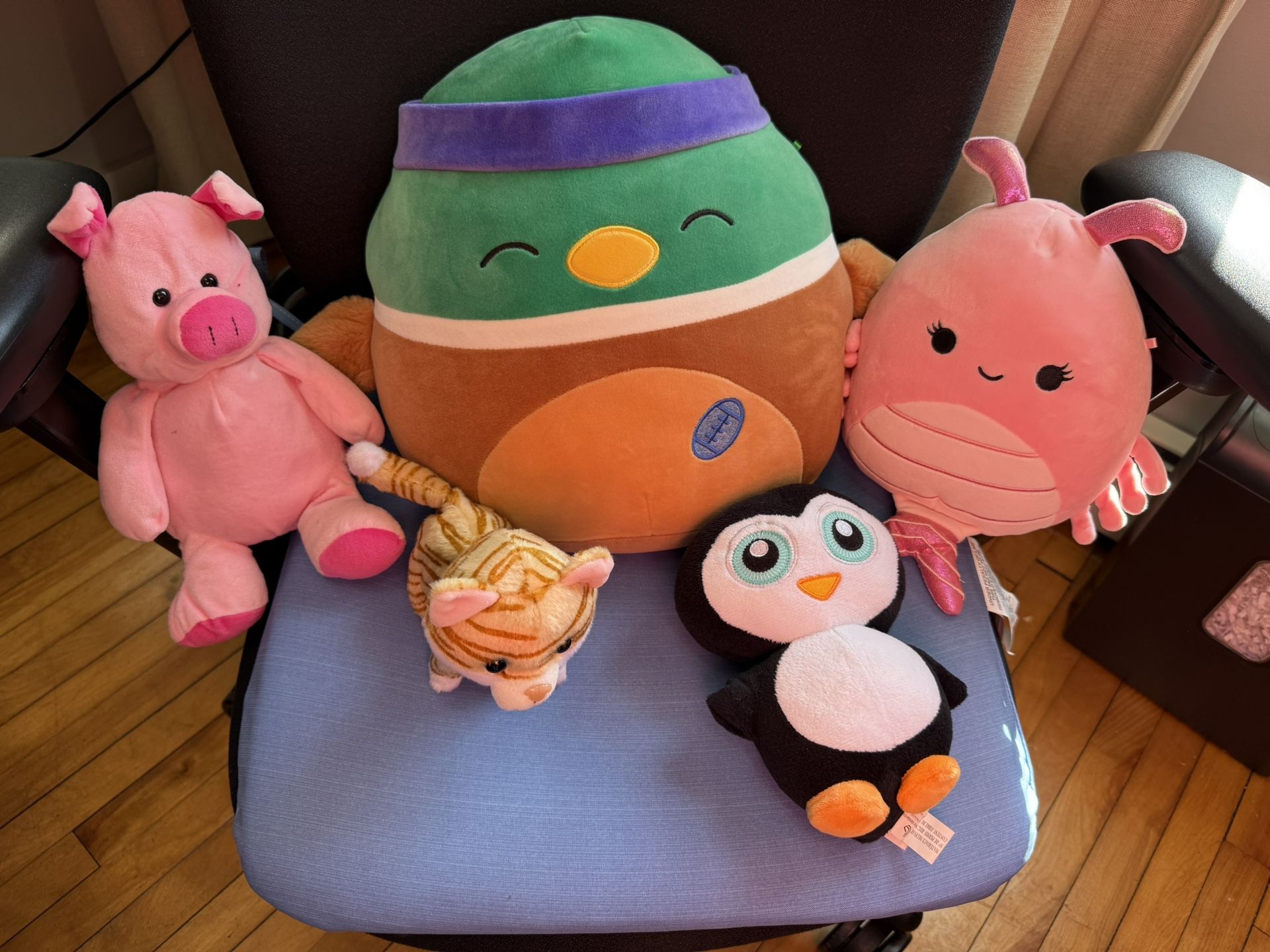 Squishmallows And Stuffed Animals