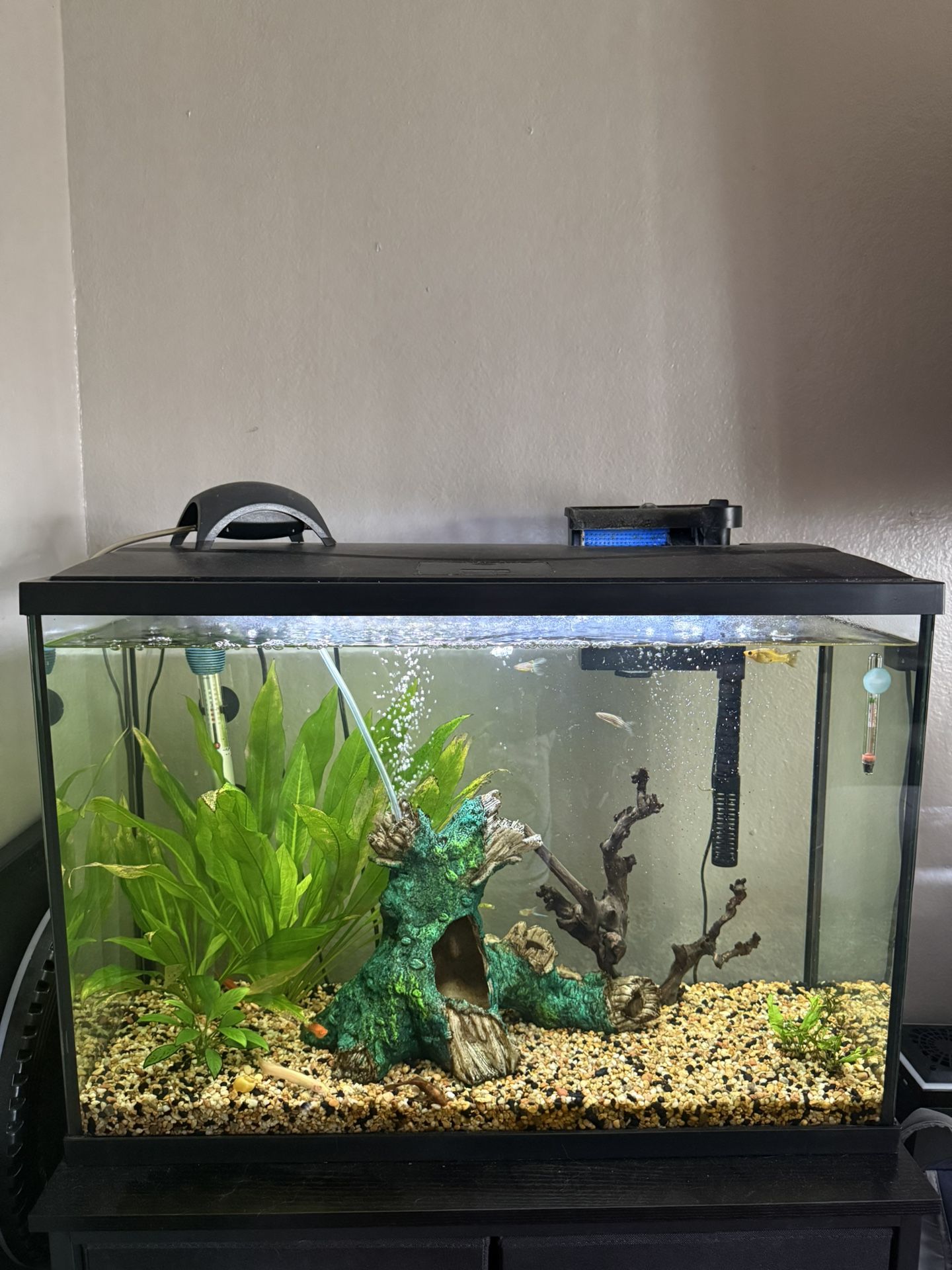 29g Fish Aquarium