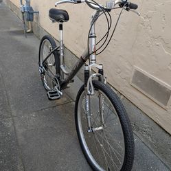 Raleigh Step Through