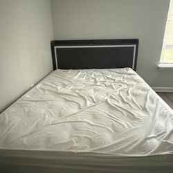 Queen bed and mattress for sale and free sofa