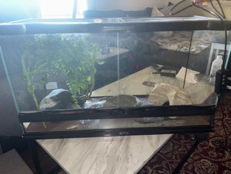 Reptile tank, termostate with heat pad, 2 hides, water bowl,