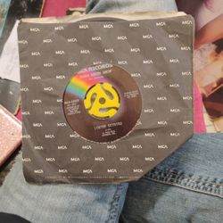 Lynyrd Skynyrd Vinyl - Down South Junkin'