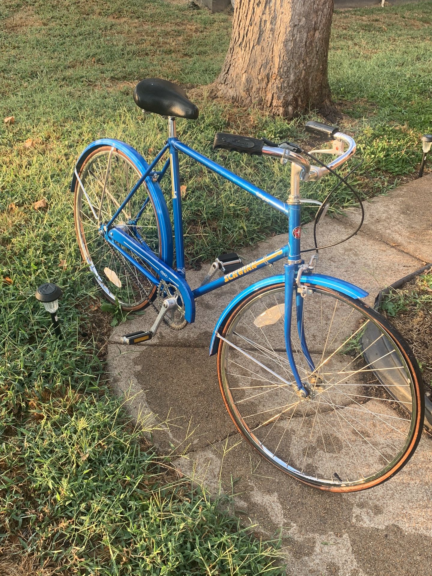 Schwinn Bike Collegiate