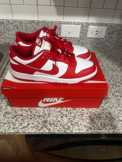 Dunks Size 10 Men’s 