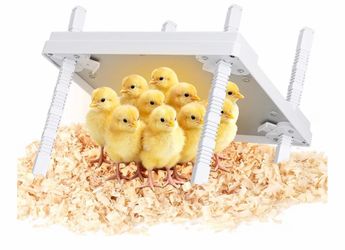 12"x12" Chick Heating Plate