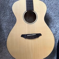Breedlove guitar passport Series 