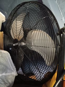 Fan
