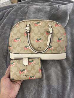 Coach purse & wallet set