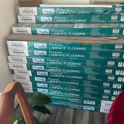 ~PROJECT~Need Someone To Put Down Laminate Flooring~