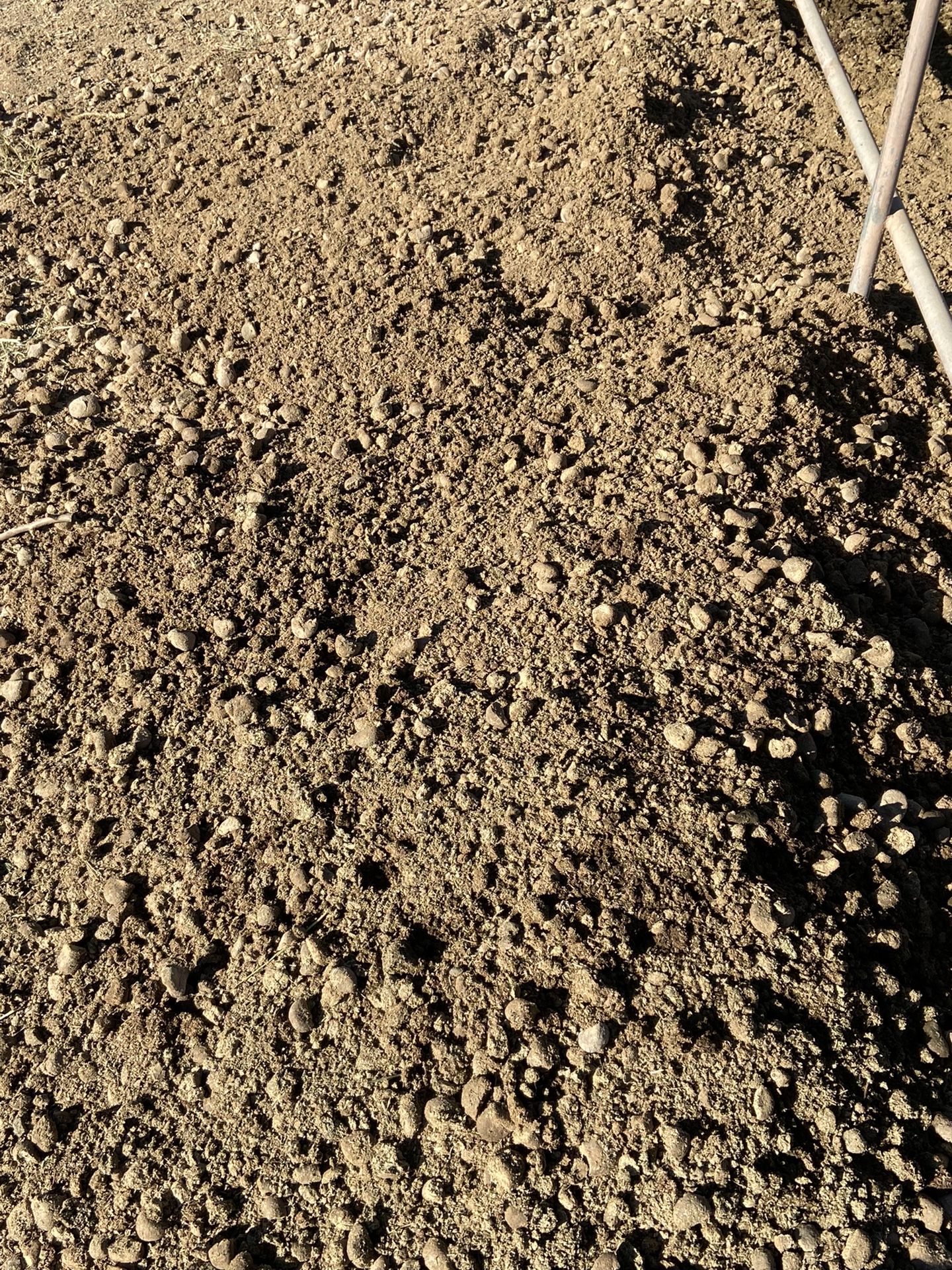 Free Organic Horse Manure