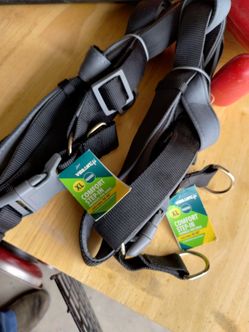 Vibrant Life dog collar