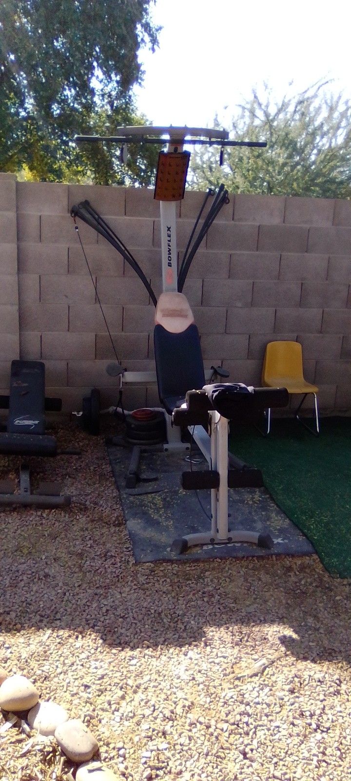 BowFlex Workout Equipment