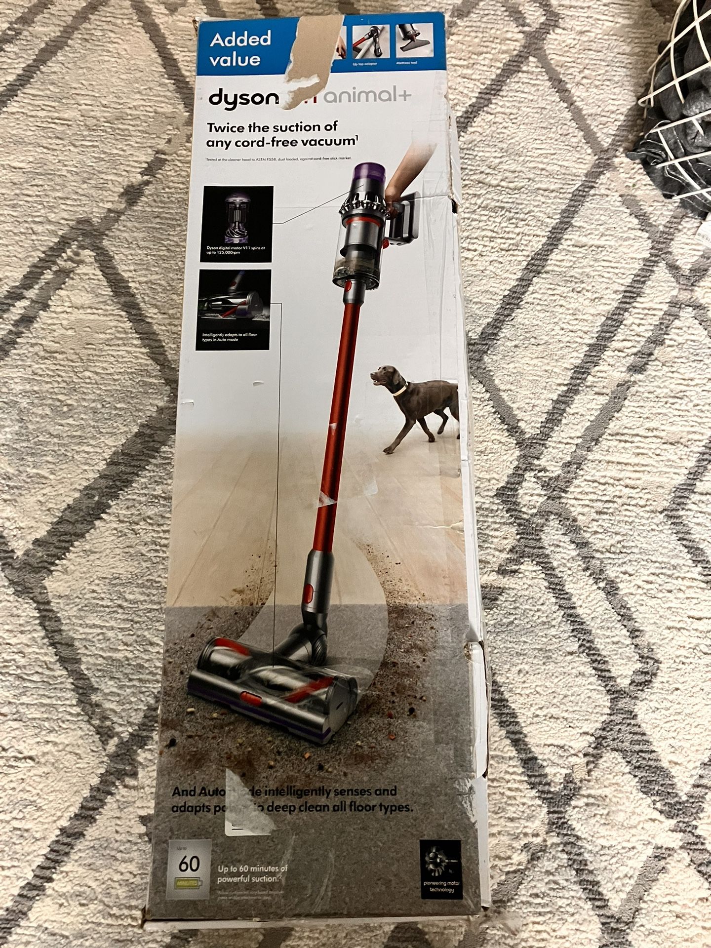 Dyson V11