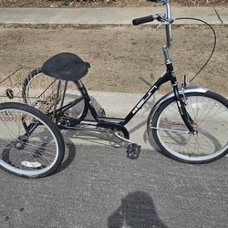 24" Miami Sun Adult Trike 