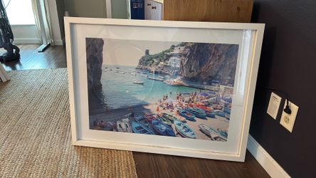 Framed Gray Malin print