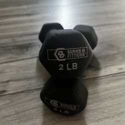 Dumbbells 2 + 4 Lbs