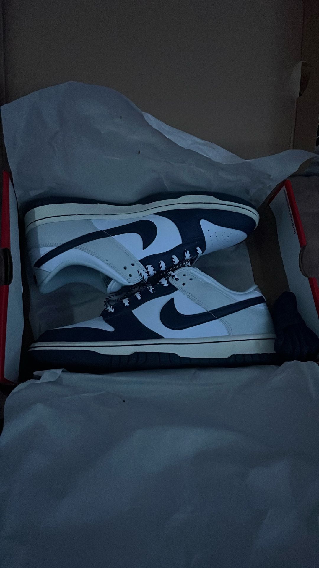 Nike low Dunks retro