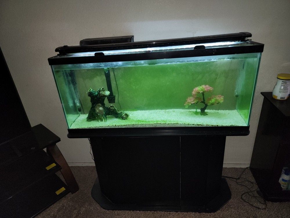 Fish Tank