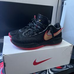 Miami Heat Lebron 20s - Size 8.5