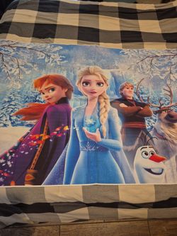 FROZEN Backdrop poster party supply  5ft x 3ft