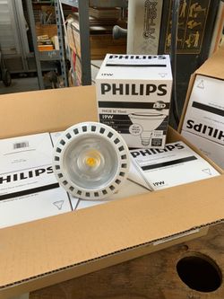 Philips 19W LED flood light