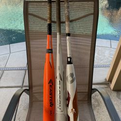 Baseball Bats 