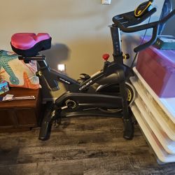 Cyclace Stationary Bike $100