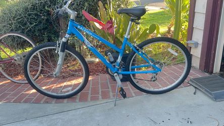 Raleigh Mojave Mountain Bike – Blue