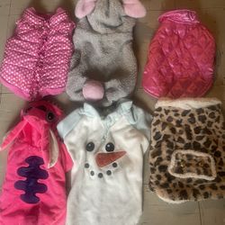 Diz frases De Perrita Talla Mediana