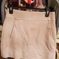 Ann Taylor 2p Skirt