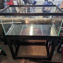 40 Gallon Breeder Saltwater Fish Tank Setup