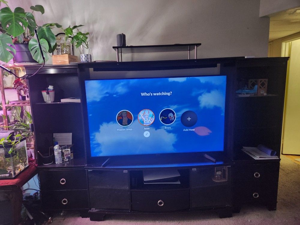 TV Stand