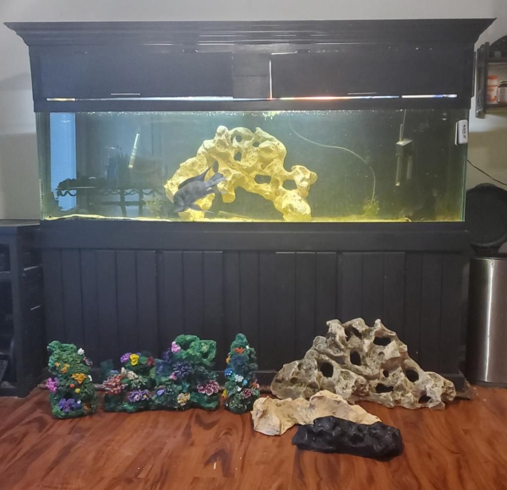  125 Gallon Fish Tank All Included