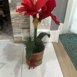 Flower With Pot