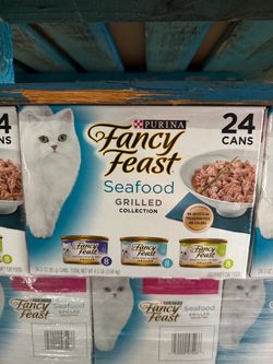 Cat food